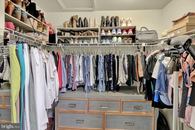 159 Waterford Ln, Reading, PA 19606 - walk in closet with attic access