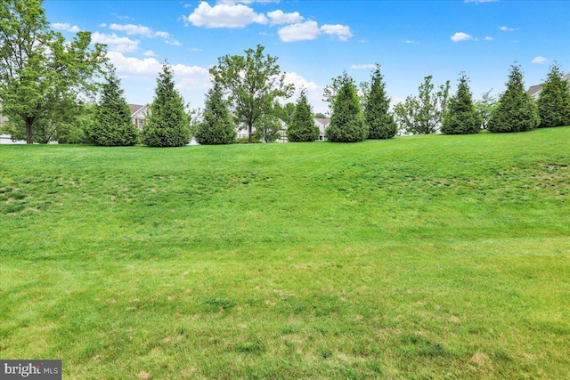 159 Waterford Ln, Reading, PA 19606 - view of green lawn