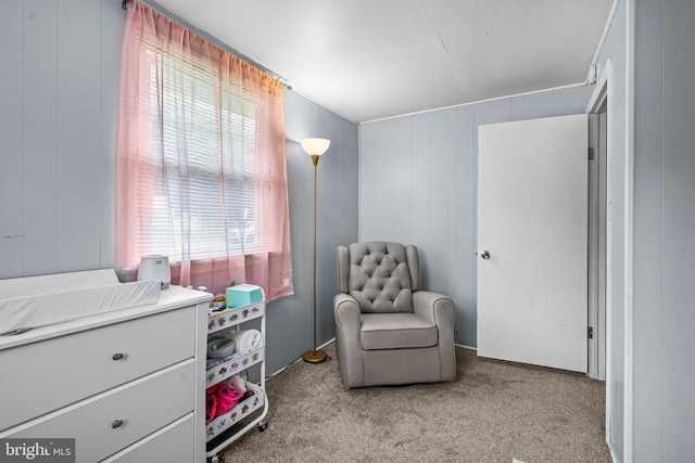 117 2nd Ave, Lindenwold, NJ 08021 - sitting room featuring light carpet