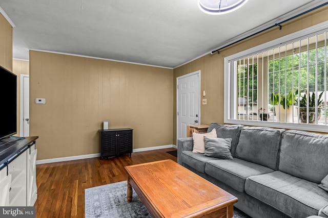 117 2nd Ave, Lindenwold, NJ 08021 - living room with dark wood-style floors, baseboards, and ornamental molding