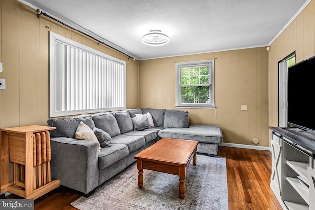 117 2nd Ave, Lindenwold, NJ 08021 - living room featuring dark wood finished floors, baseboards, and ornamental molding