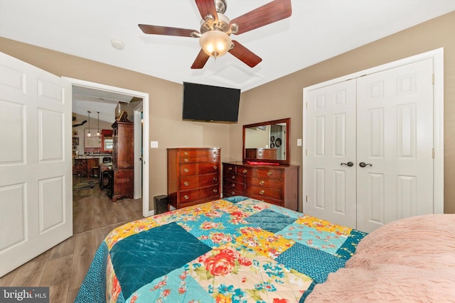 343 Mill Farm Trl, Berkeley Springs, WV 25411 - bedroom with wood finished floors, a closet, and ceiling fan