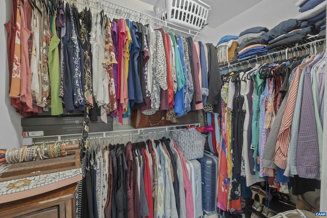 989 Clearfields Ln, Crozet, VA 22932 - view of walk in closet