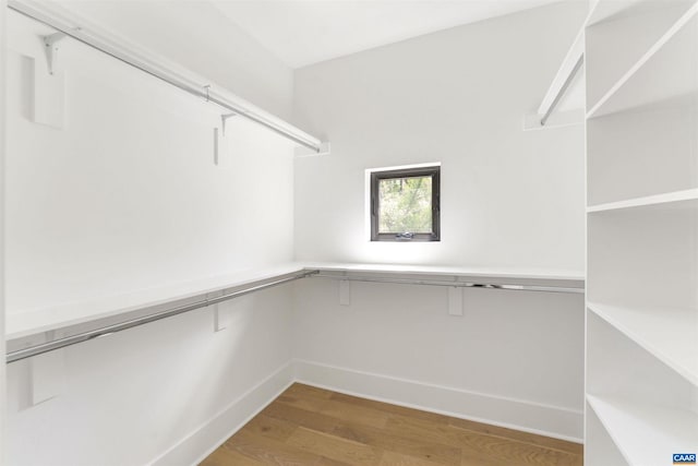 983 5th St SW, Charlottesville, VA 22902 - spacious closet with wood finished floors