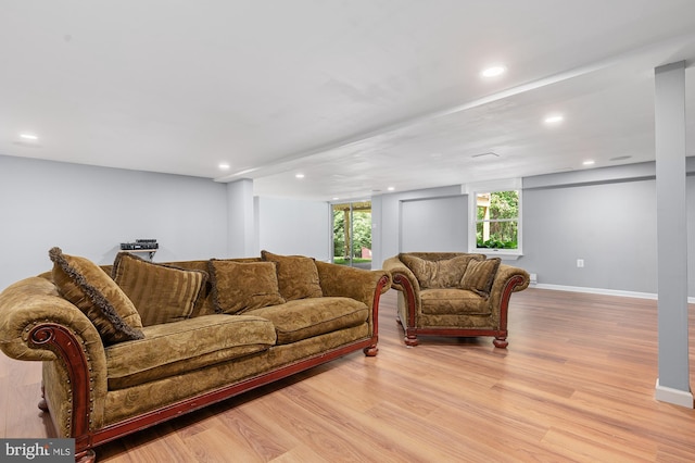 220 Firetower Rd, Port Deposit, MD 21904 - living room featuring light wood-type flooring, recessed lighting, and baseboards