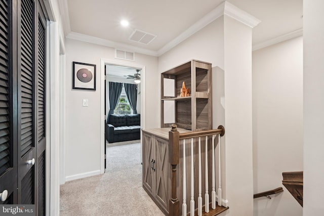 144 Bishop Way, Dublin, PA 18917 - corridor with crown molding, carpet, and baseboards