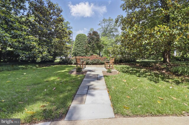 4200 Cathedral Ave NW Unit 317, Washington, DC 20016 - surrounding community with a yard