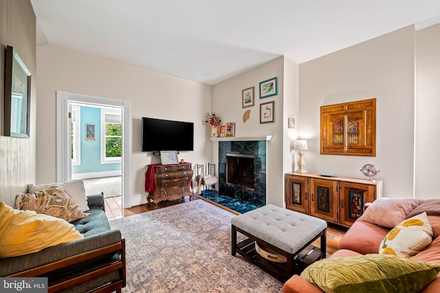 522 S Hanover St, Baltimore, MD 21201 - living area with wood finished floors and a premium fireplace