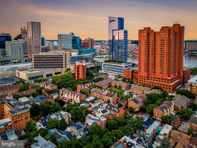 522 S Hanover St, Baltimore, MD 21201 - view of city skyline