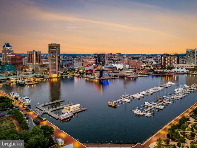 522 S Hanover St, Baltimore, MD 21201 - water view featuring nearby urban area and a marina