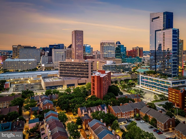 522 S Hanover St, Baltimore, MD 21201 - view of city skyline