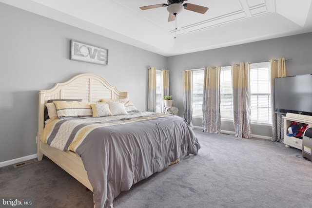 124 Willow Grove Mill Dr, Middletown, DE 19709 - bedroom featuring a tray ceiling, carpet, and baseboards