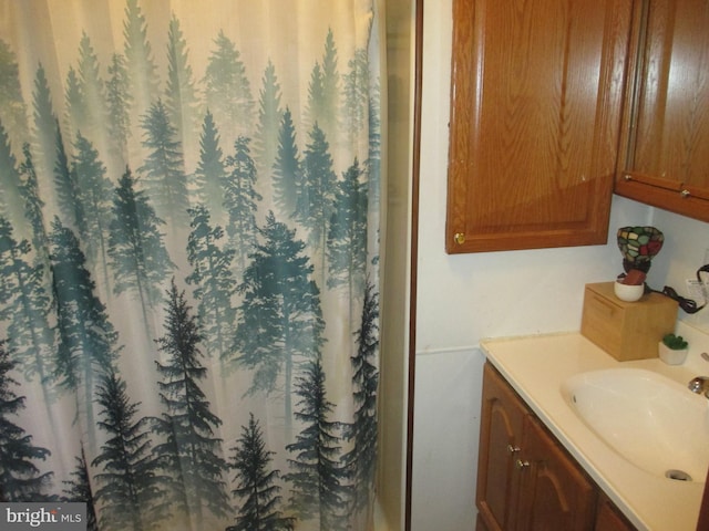 210 E Reynolds St, Cumberland, MD 21502 - bathroom with vanity and a shower with curtain