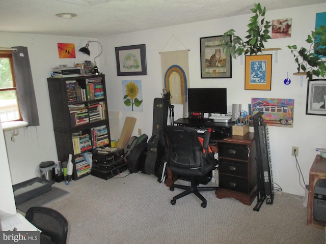 210 E Reynolds St, Cumberland, MD 21502 - view of carpeted home office