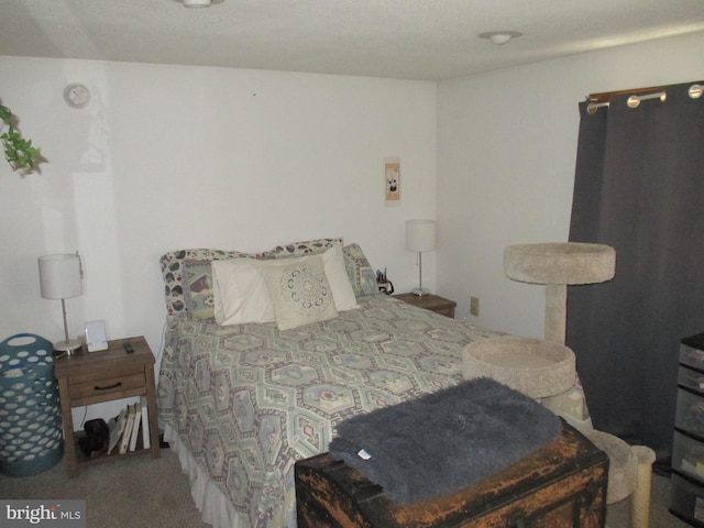 210 E Reynolds St, Cumberland, MD 21502 - view of carpeted bedroom