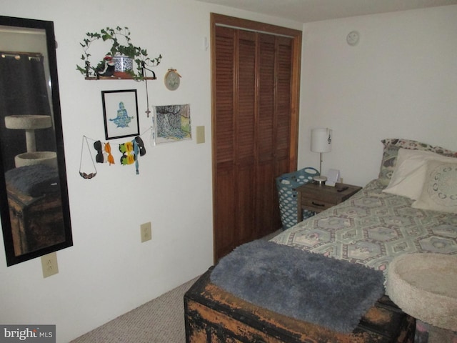 210 E Reynolds St, Cumberland, MD 21502 - carpeted bedroom featuring a closet