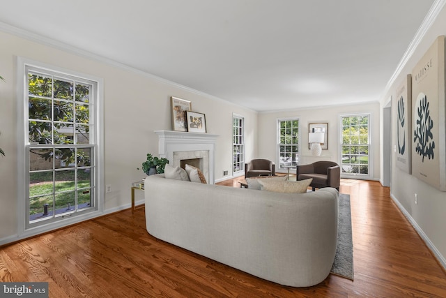 3713 Templeton Pl, Alexandria, VA 22304 - living area featuring a premium fireplace, wood finished floors, ornamental molding, and baseboards