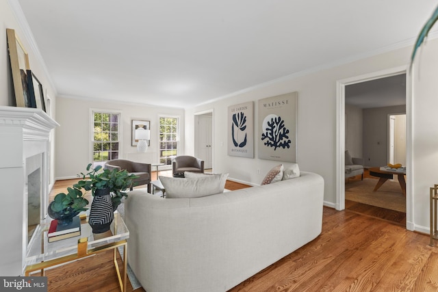 3713 Templeton Pl, Alexandria, VA 22304 - living room with light wood-type flooring, ornamental molding, a fireplace, and baseboards