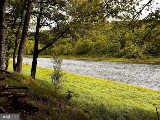 288 River Rd, Beach Lake, PA 18405 - water view with a forest