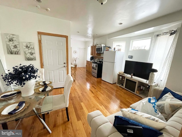 3647 N 19th St, Philadelphia, PA 19140 - living room featuring light wood-type flooring