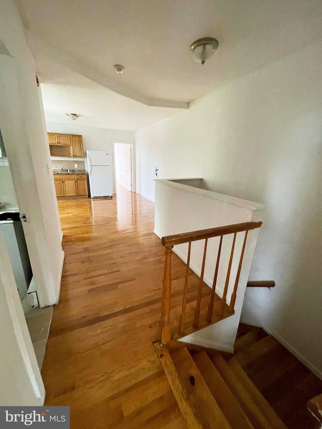 3647 N 19th St, Philadelphia, PA 19140 - corridor featuring light wood-style flooring and an upstairs landing