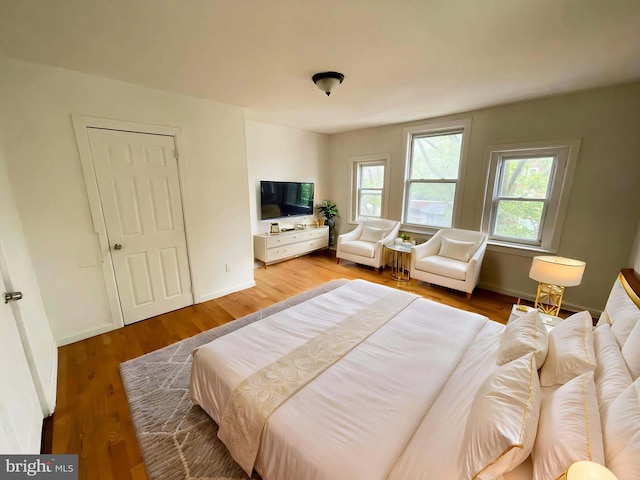 3647 N 19th St, Philadelphia, PA 19140 - bedroom featuring multiple windows, wood finished floors, and baseboards