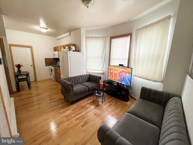 3647 N 19th St, Philadelphia, PA 19140 - living area featuring light wood finished floors