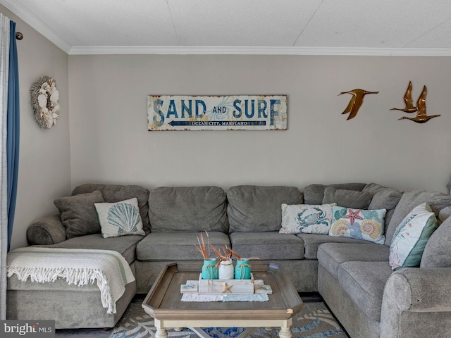 4711 Coastal Hwy Unit 538, Ocean City, MD 21842 - living room with crown molding