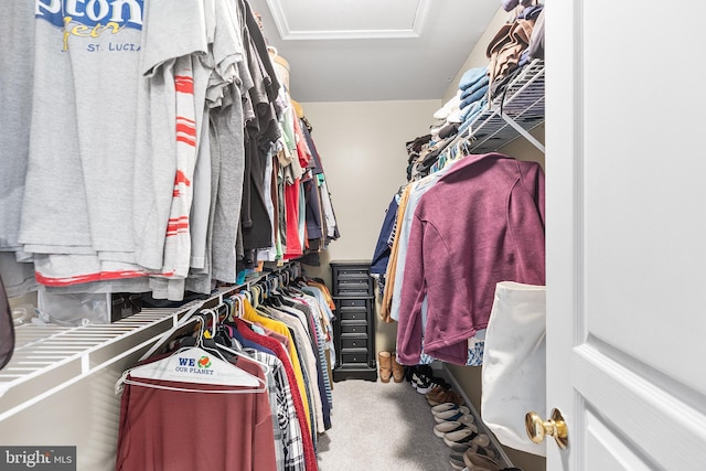 48 Avalon Ct Unit 2301, Doylestown, PA 18901 - spacious closet featuring attic access and carpet floors