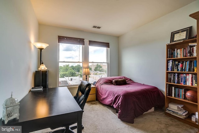 1391 Pennsylvania Ave SE Unit 471, Washington, DC 20003 - bedroom with carpet floors and a desk