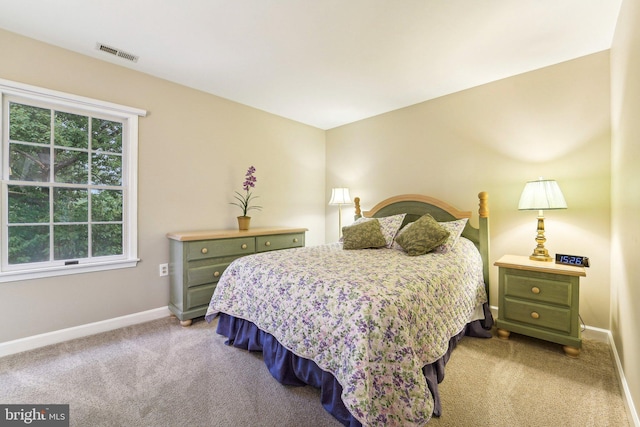 4270 Deborah Ct, Mount Airy, MD 21771 - carpeted bedroom with multiple windows and baseboards
