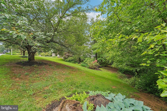 4270 Deborah Ct, Mount Airy, MD 21771 - view of yard