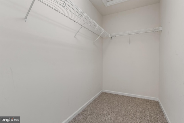 140 N Allwood Dr, Hanover, PA 17331 - walk in closet with carpet