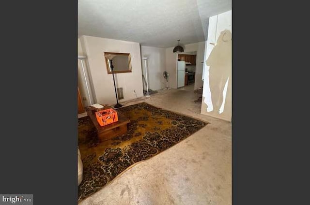 33 Dunmoor Ct S, Hamilton, NJ 08690 - hallway featuring carpet floors