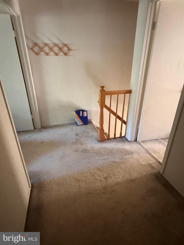 33 Dunmoor Ct S, Hamilton, NJ 08690 - hall with carpet flooring