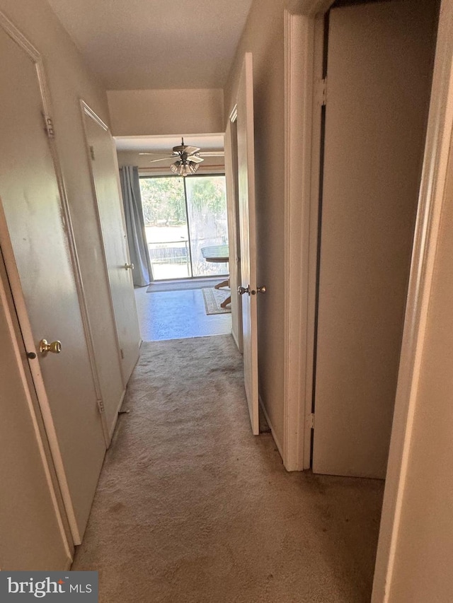 33 Dunmoor Ct S, Hamilton, NJ 08690 - hallway with light carpet