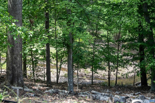 329 Carrsbrook Dr, Charlottesville, VA 22901 - view of nature