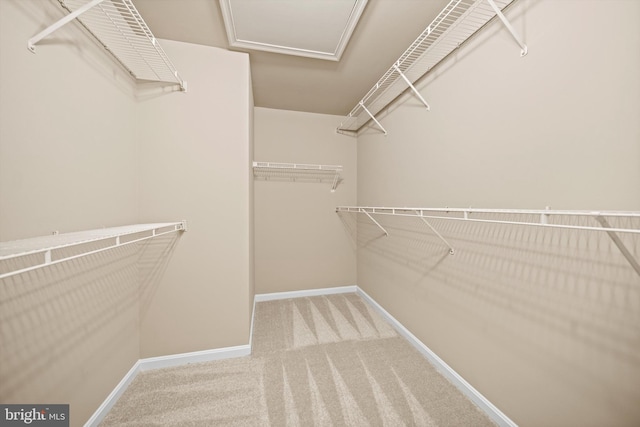 2300 Yvonnes Way, Dunn Loring, VA 22027 - walk in closet with carpet and attic access