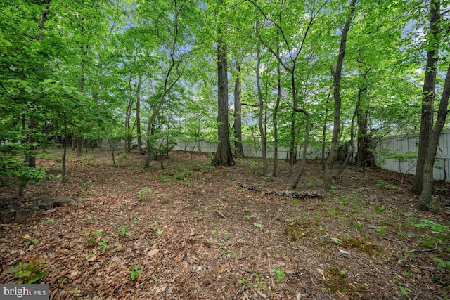 2300 Yvonnes Way, Dunn Loring, VA 22027 - view of yard