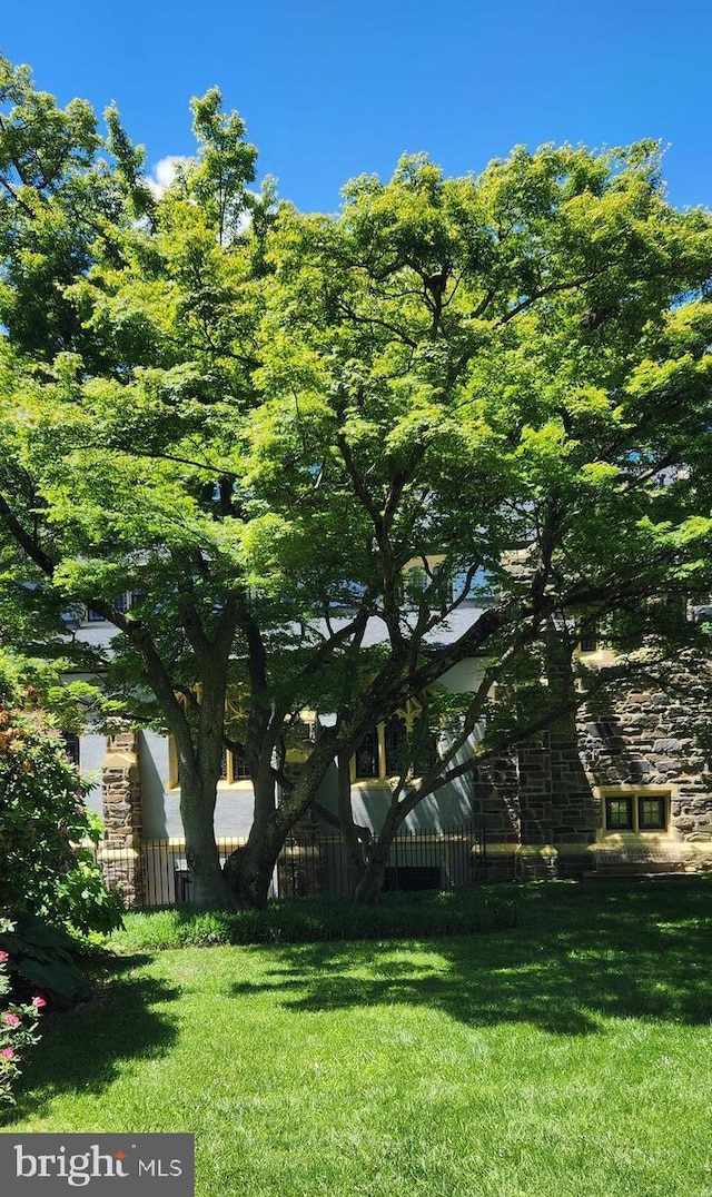206 Price Ave Unit 2, Narberth, PA 19072 - view of grassy yard