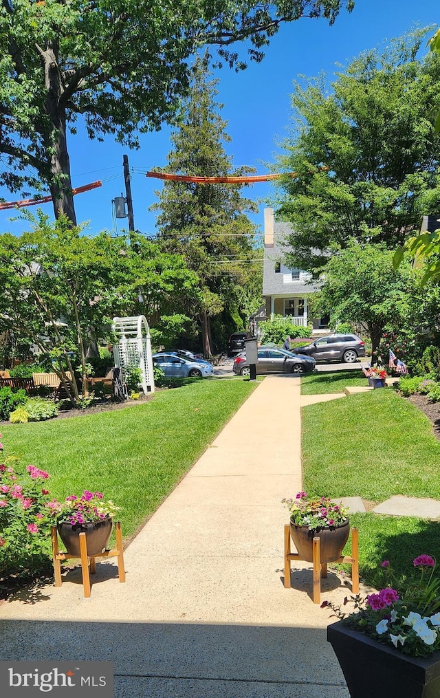 206 Price Ave Unit 2, Narberth, PA 19072 - view of grassy yard