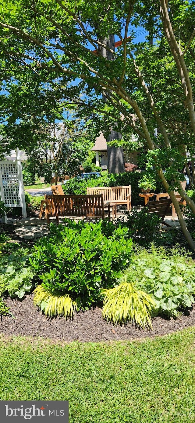 206 Price Ave Unit 2, Narberth, PA 19072 - view of yard