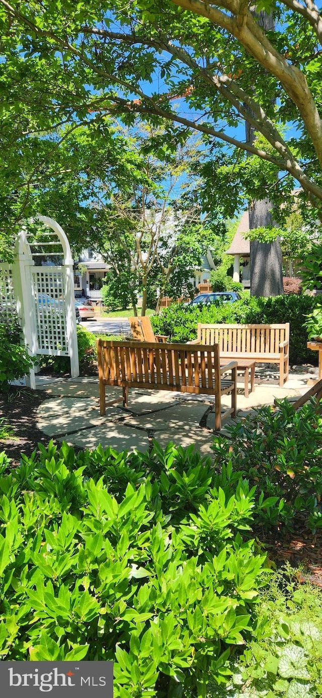 206 Price Ave Unit 2, Narberth, PA 19072 - view of yard