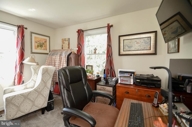 518 S Glenwood St, Allentown, PA 18104 - office space featuring carpet flooring