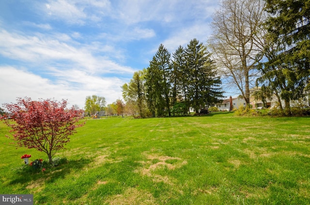 518 S Glenwood St, Allentown, PA 18104 - view of grassy yard