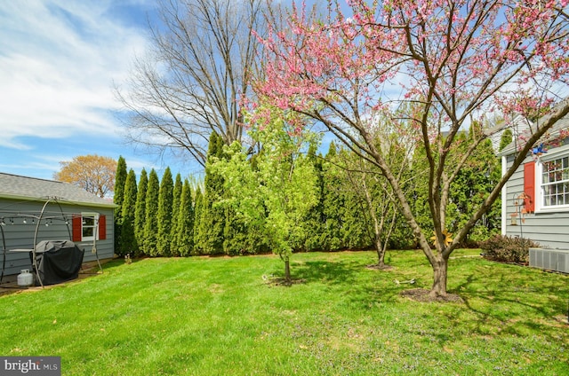 518 S Glenwood St, Allentown, PA 18104 - view of green lawn with central AC