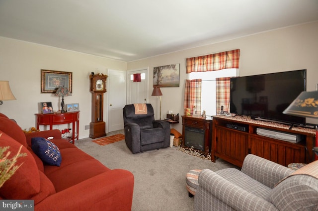 518 S Glenwood St, Allentown, PA 18104 - living room with carpet flooring and a fireplace