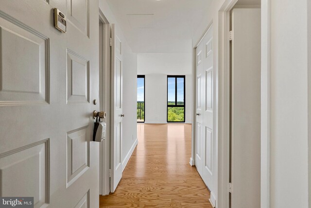 6800 Fleetwood Rd Unit 1219, Mclean, VA 22101 - corridor featuring light wood-style flooring