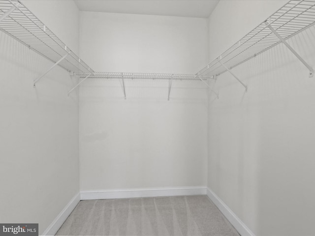 9204 Charleston Dr Unit 407, Manassas, VA 20110 - spacious closet featuring light colored carpet