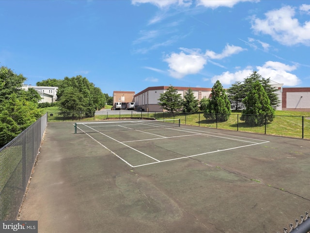 9204 Charleston Dr Unit 407, Manassas, VA 20110 - view of tennis court